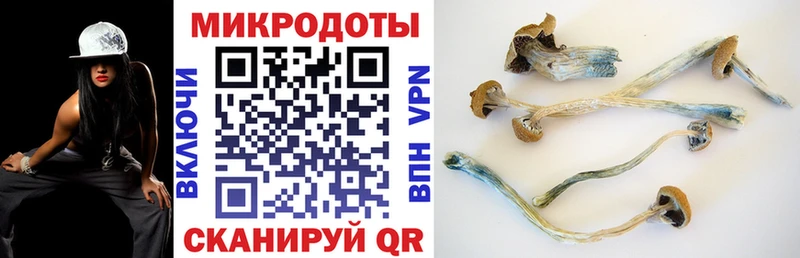 Псилоцибиновые грибы прущие грибы Курчатов